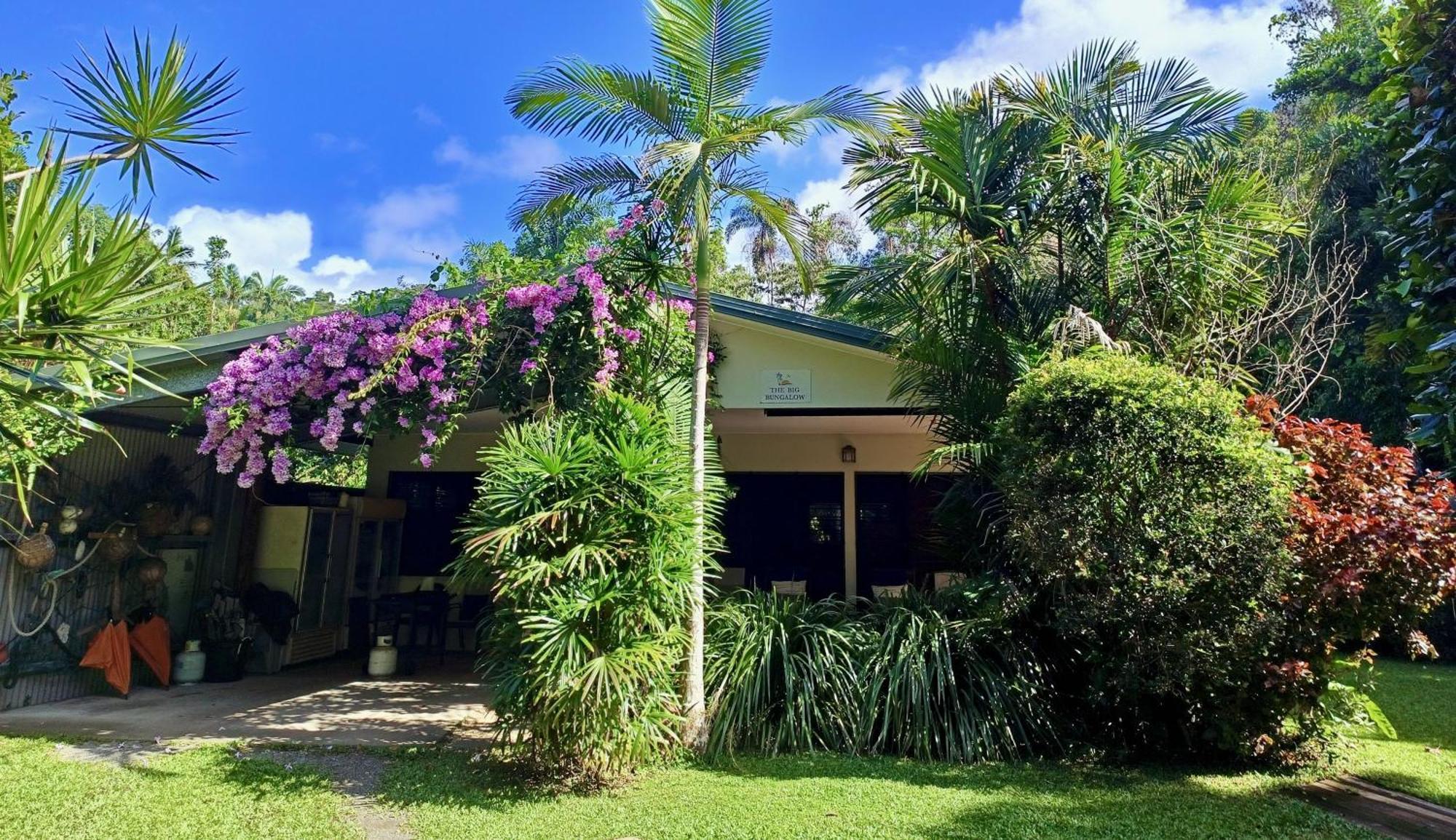 Thornton Beach Bungalows Daintree Cape Tribulation Buitenkant foto