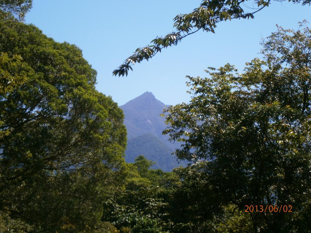 Thornton Beach Bungalows Daintree Cape Tribulation Buitenkant foto