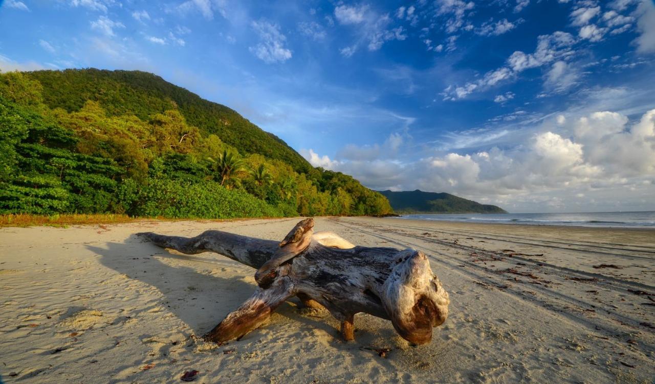 Thornton Beach Bungalows Daintree Cape Tribulation Buitenkant foto