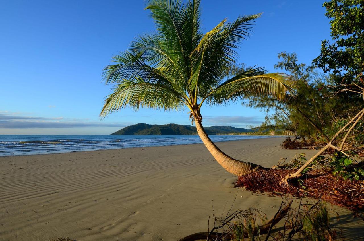 Thornton Beach Bungalows Daintree Cape Tribulation Buitenkant foto