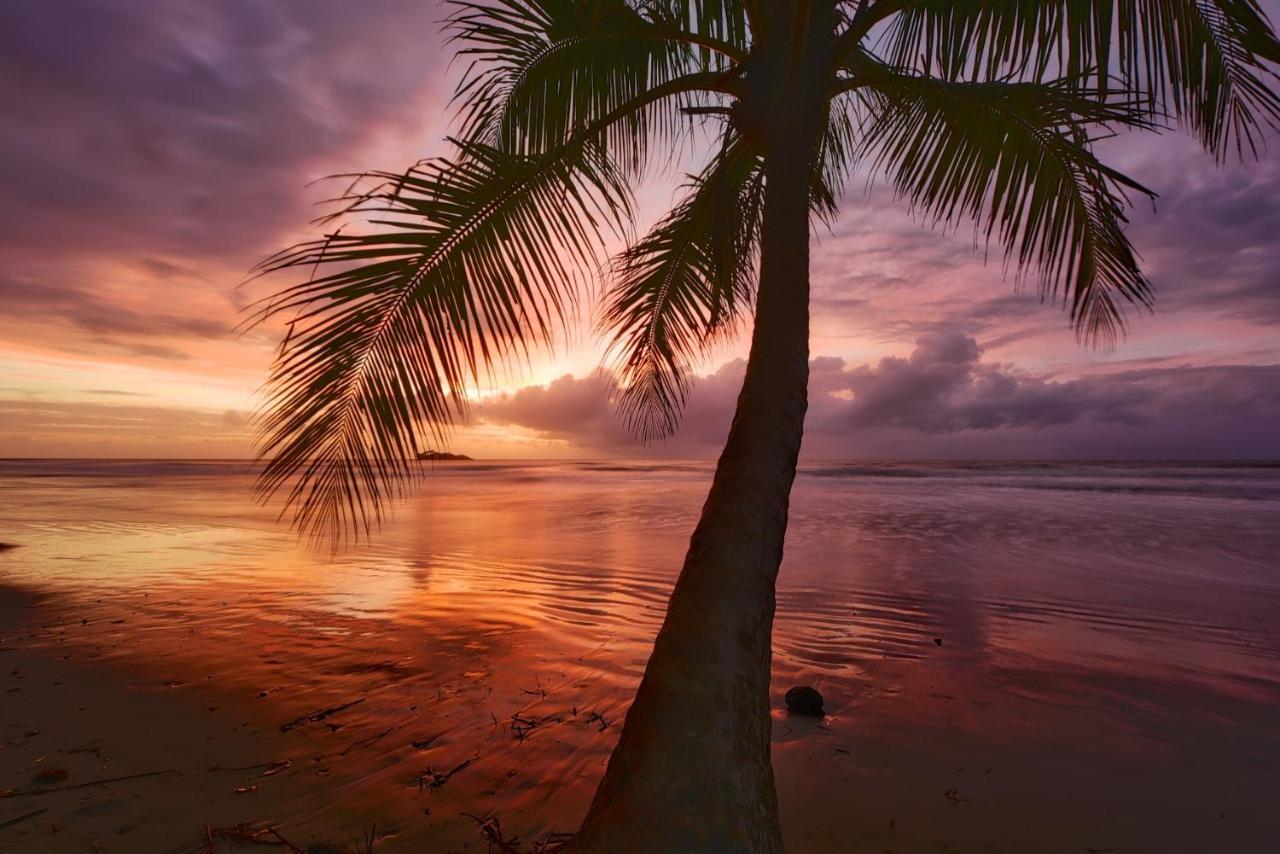 Thornton Beach Bungalows Daintree Cape Tribulation Buitenkant foto