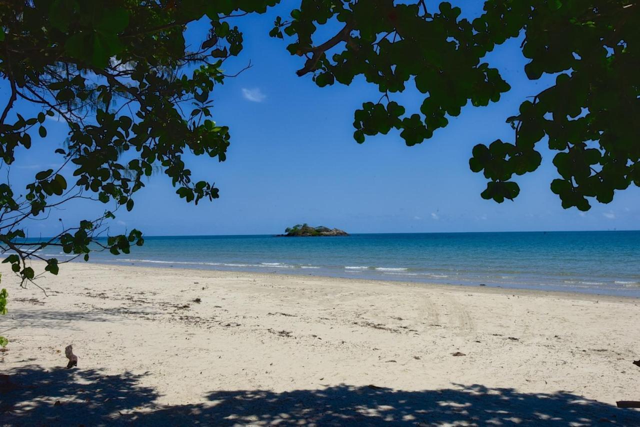 Thornton Beach Bungalows Daintree Cape Tribulation Buitenkant foto